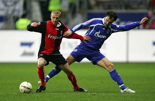 军张家齐的 军张家齐的